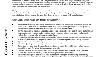 Cover Page Of The Stress and Anxiety at the Workplace PDF