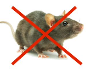 image of a rat with an "x" over the top