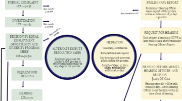 Cover Page Of The ADR Process Flow Chart – For Library of Congress Employees PDF